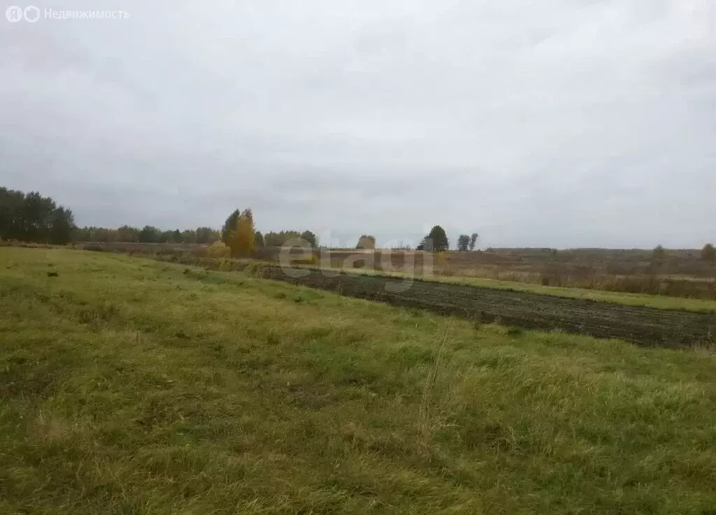 Участок в Заокский район, сельское поселение Демидовское, село ... - Фото 2