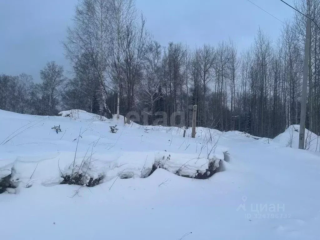 Участок в Томская область, Томск пос. Родионово, ул. Радуница (16.0 ... - Фото 1