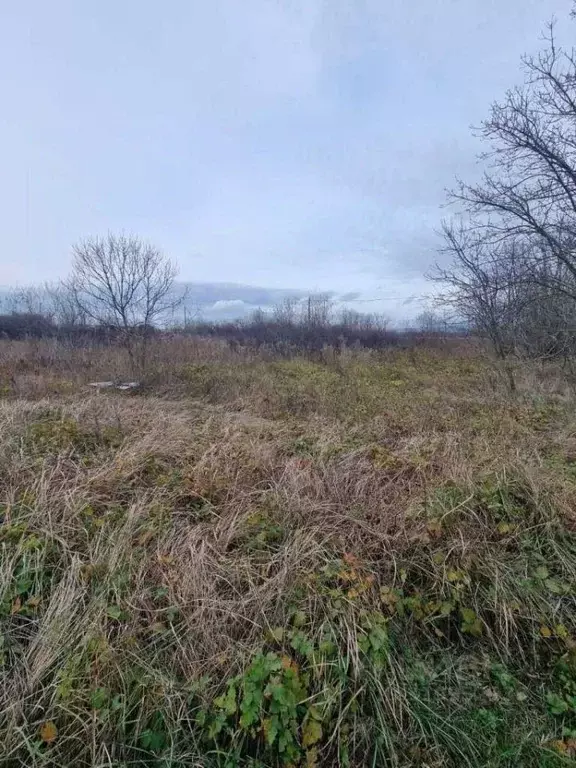 Участок в Краснодарский край, Новороссийск городской округ, Раевская ... - Фото 1
