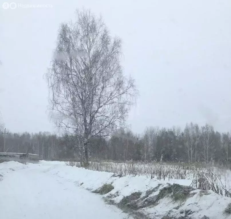 Участок в Нижнетавдинский район, село Андрюшино (9 м) - Фото 0