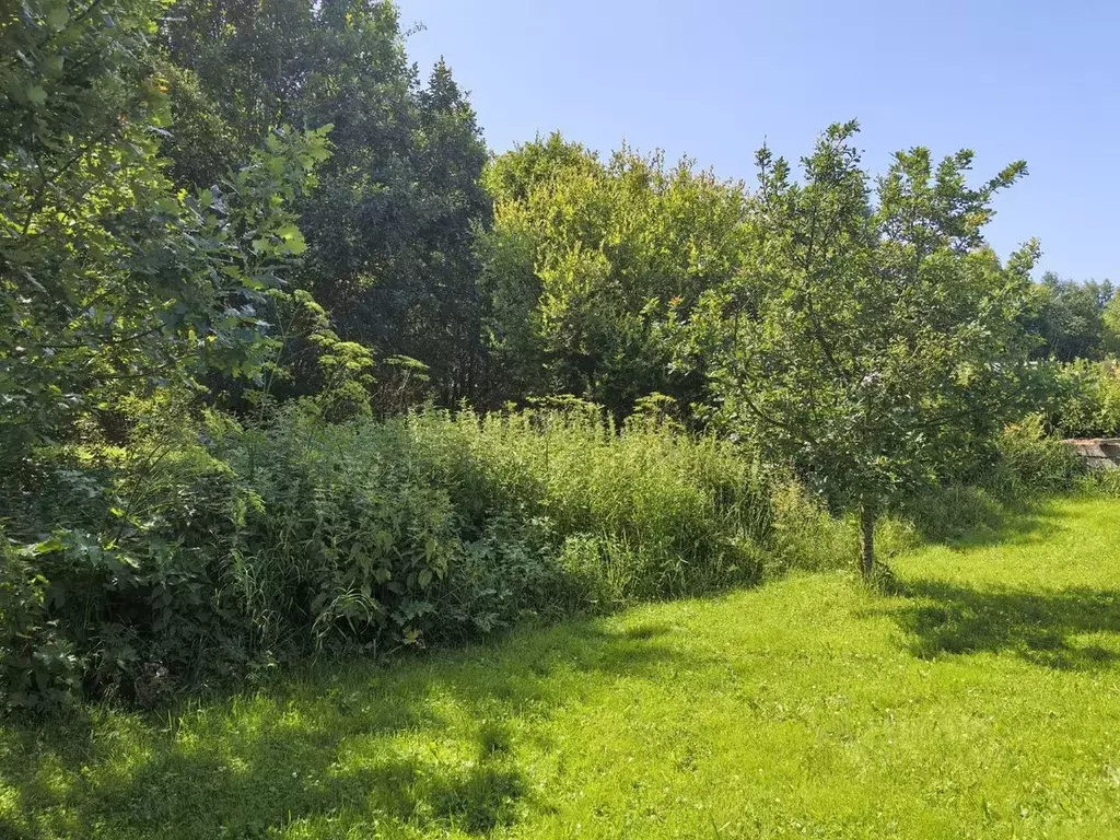 Участок в Ярославская область, Рыбинский муниципальный округ, д. ... - Фото 1