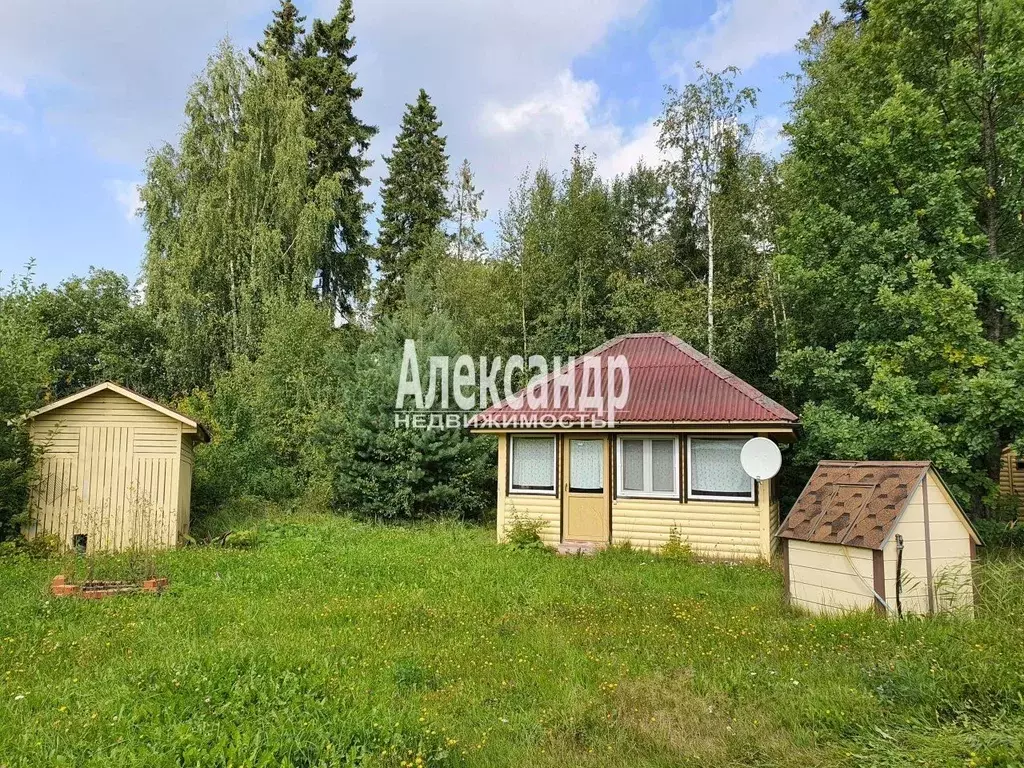 Участок в Ленинградская область, Приозерский район, Ларионовское ... - Фото 0