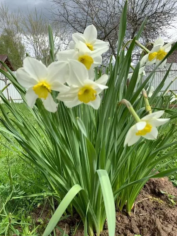 Дом в Московская область, Волоколамский муниципальный округ, с. ... - Фото 1