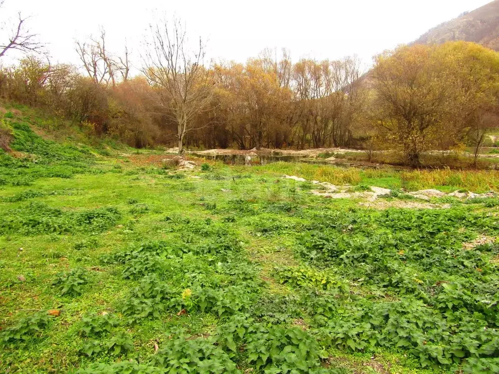 Участок в Ставропольский край, Предгорный муниципальный округ, с. Юца ... - Фото 1