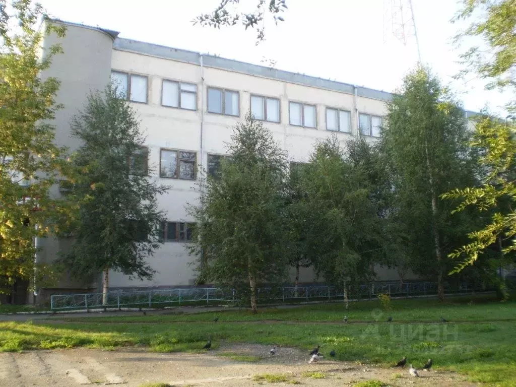 Помещение свободного назначения в Курганская область, Шумиха ул. ... - Фото 1