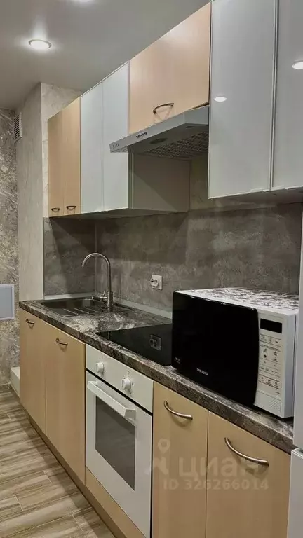 Студия Санкт-Петербург пос. Шушары, Московское ш., 262к1 (32.0 м) - Фото 1