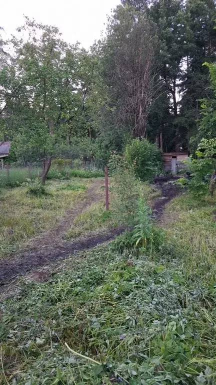 Участок в Московская область, Одинцовский городской округ, ... - Фото 1
