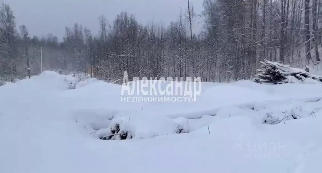 Участок в Ленинградская область, Приозерский район, Ларионовское ... - Фото 0