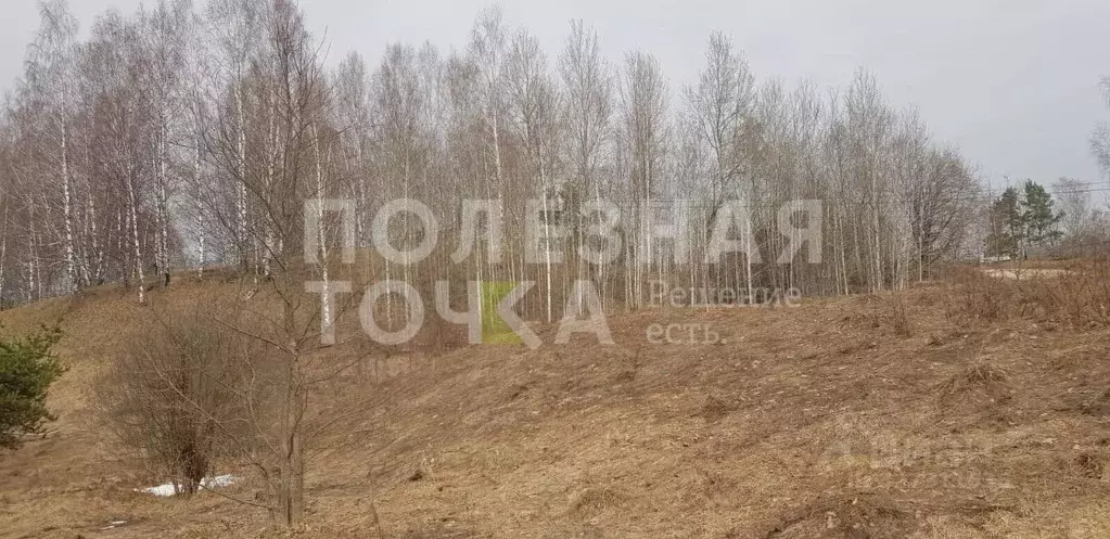 Участок в Новгородская область, Боровичский район, д. Егла Зеленый ... - Фото 1