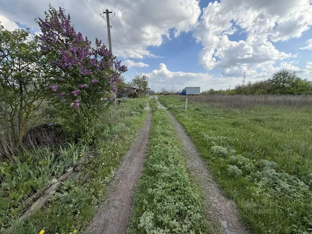 Участок в Белгородская область, Яковлевский муниципальный округ, ... - Фото 2