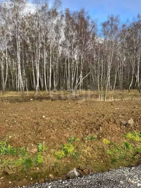 Участок в Московская область, городской округ Чехов, деревня Чепелёво ... - Фото 1