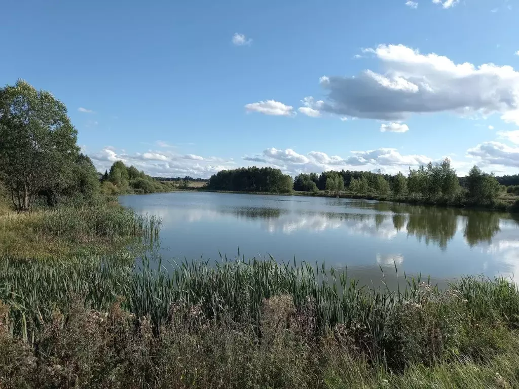 Участок в Московская область, Дмитровский муниципальный округ, с. ... - Фото 1