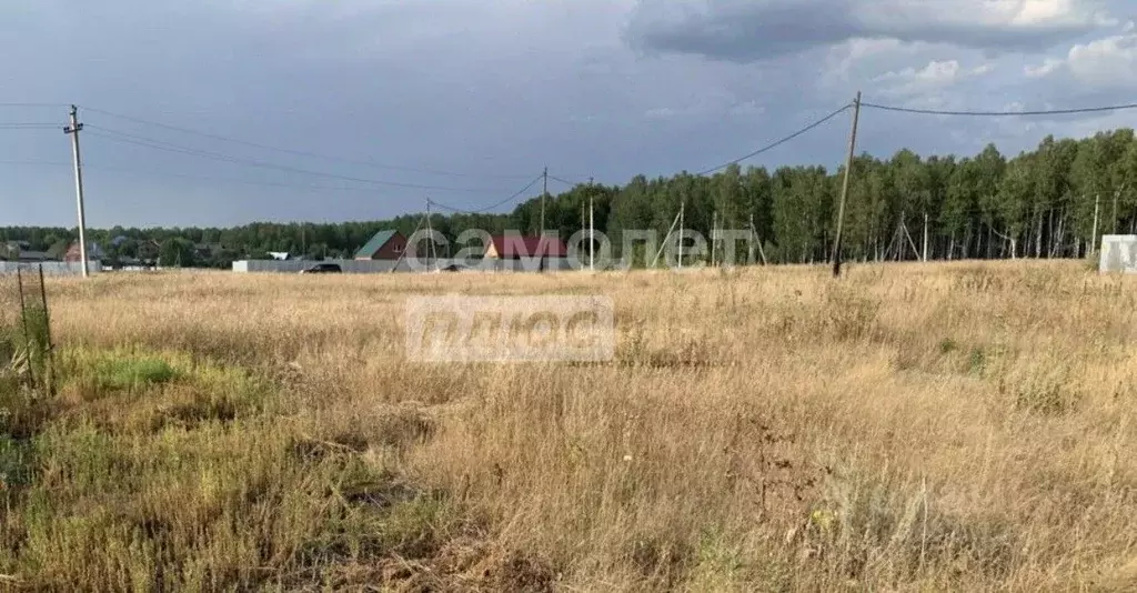 Участок в Челябинская область, Сосновский муниципальный округ, д. ... - Фото 1