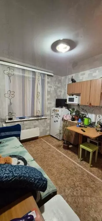 Студия Томская область, Томск Водопроводная ул., 11 (16.0 м) - Фото 2