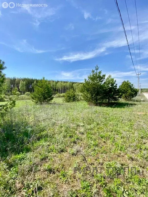 Участок в Лаишевский район, Песчано-Ковалинское сельское поселение, ... - Фото 2