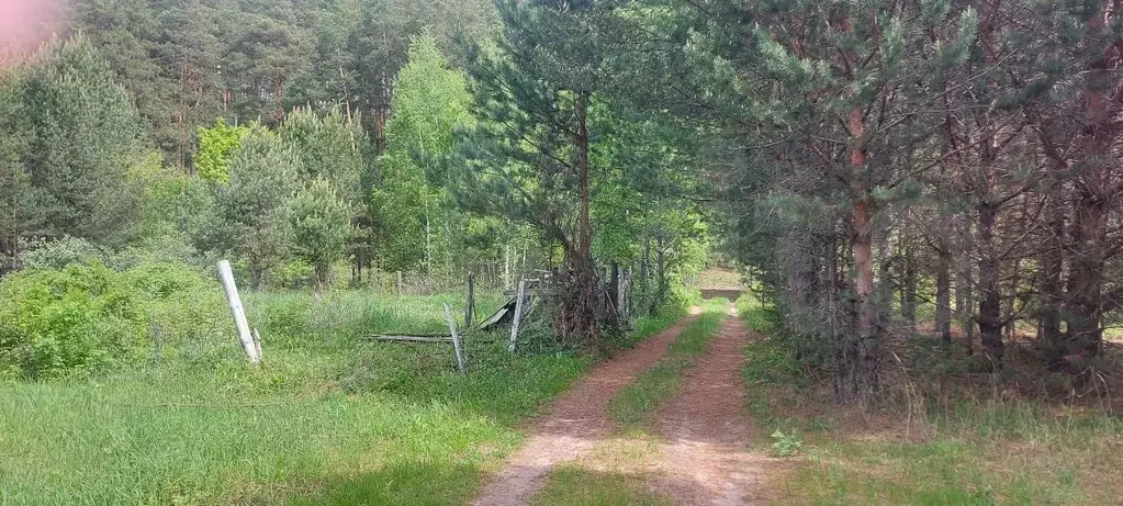 Участок 6 сот. (СНТ, ДНП) - Фото 1