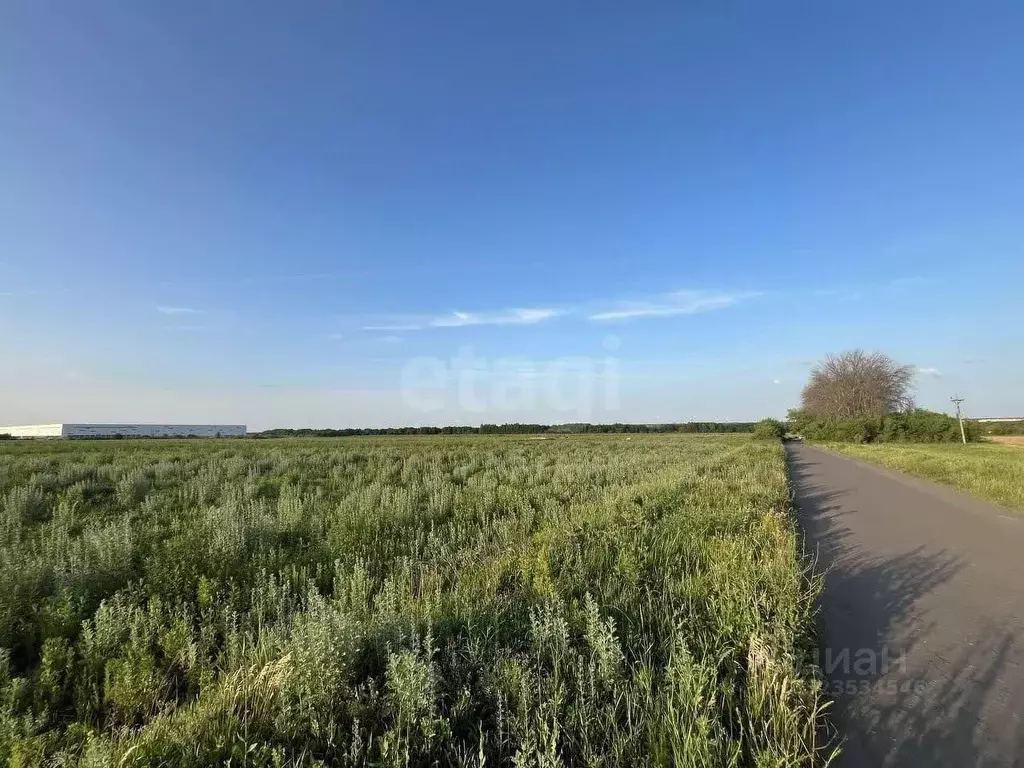 Участок в Тамбовская область, Котовск ул. Хрустальная (7.2 сот.) - Фото 1