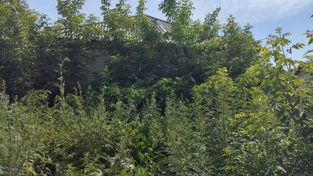 Помещение свободного назначения в Курганская область, Кетовский ... - Фото 1