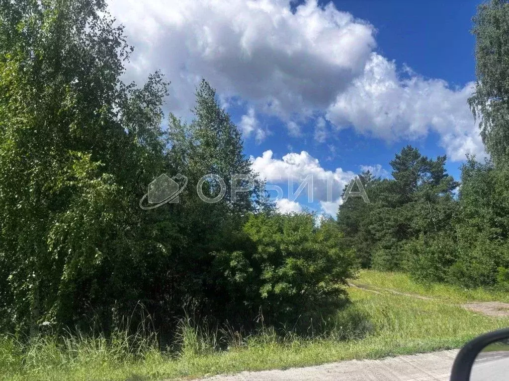 Участок в Тюменская область, Нижнетавдинский район, Сундукуль СНТ ул. ... - Фото 0