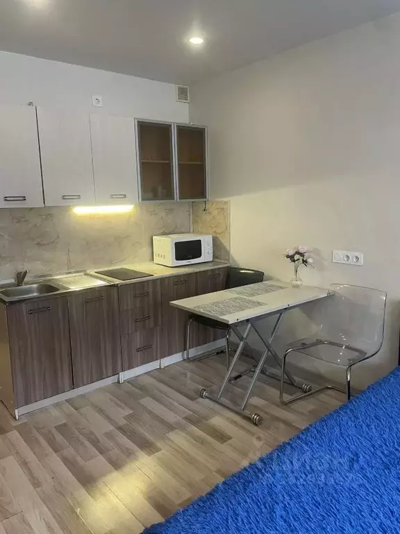 Студия Санкт-Петербург ул. Хошимина, 16 (27.5 м) - Фото 1