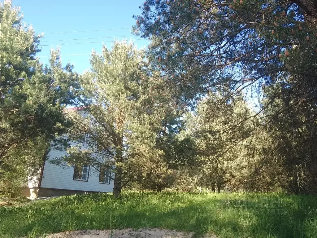 Дом в Псковская область, Печорский муниципальный округ, д. Малая ... - Фото 0