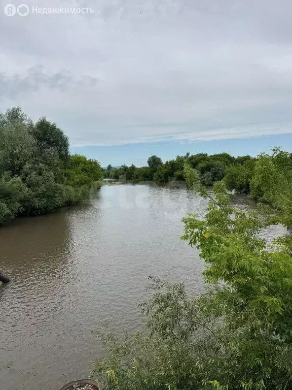 Участок в Смоленский район, село Сычёвка (25 м) - Фото 1