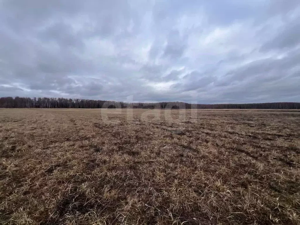 Участок в Московская область, Ступино городской округ, д. Заворыкино ... - Фото 1