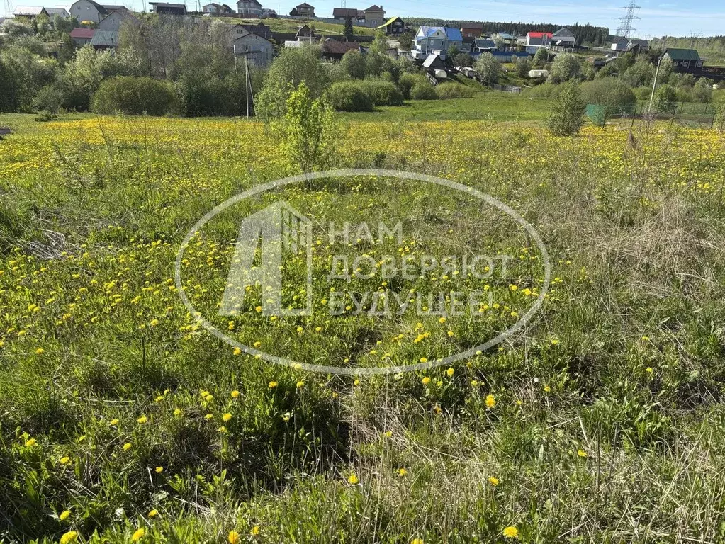 Участок в Пермский край, д. Мартьяново ул. Загородная, 12 (14.08 сот.) - Фото 0