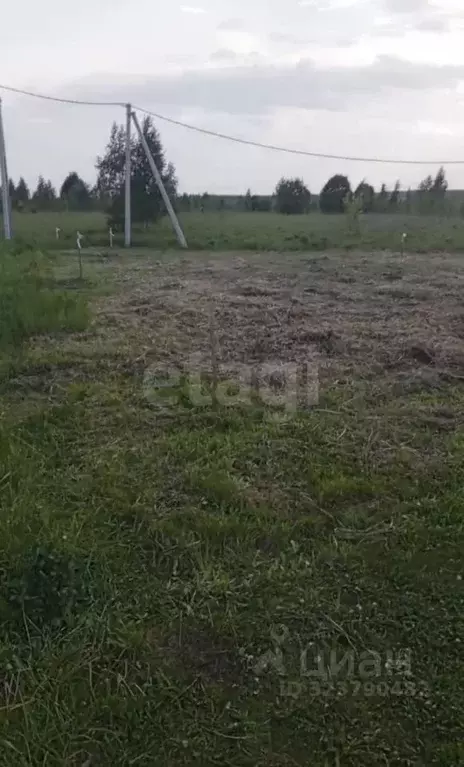 Участок в Нижегородская область, Богородский муниципальный округ, д. ... - Фото 1