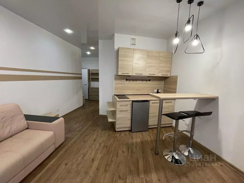 Студия Новосибирская область, Новосибирск ул. Николаева, 18 (29.0 м) - Фото 2