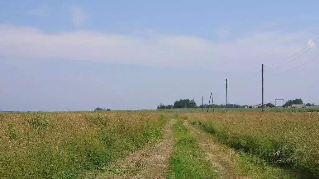 Участок в Московская область, Клин городской округ, Чистые Пруды дп  ... - Фото 0