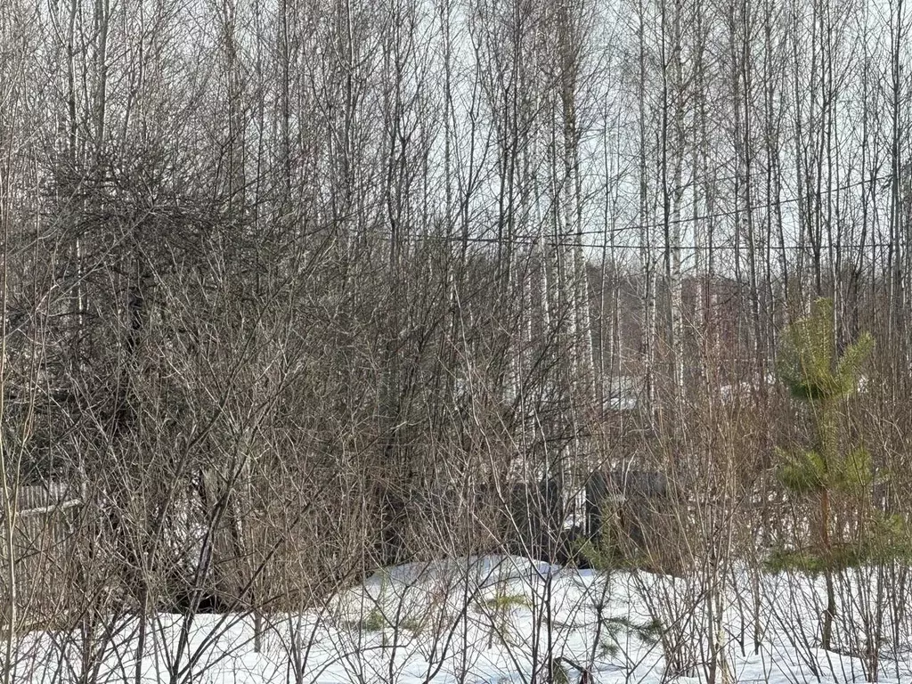 Участок в Московская область, Богородский городской округ, д. Калитино ... - Фото 1