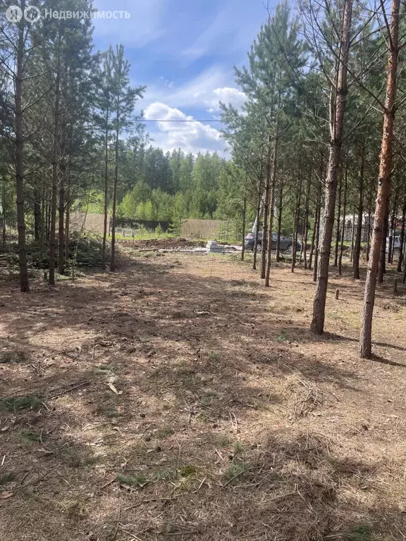 Участок в посёлок Бобровский, улица Есенина (1156 м) - Фото 2