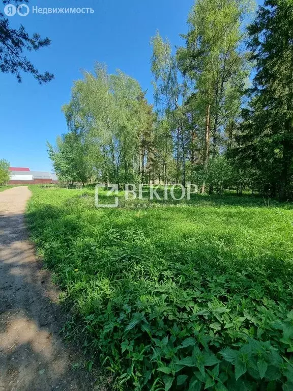 Участок в Иваново, переулок Крылова (7.6 м) - Фото 1