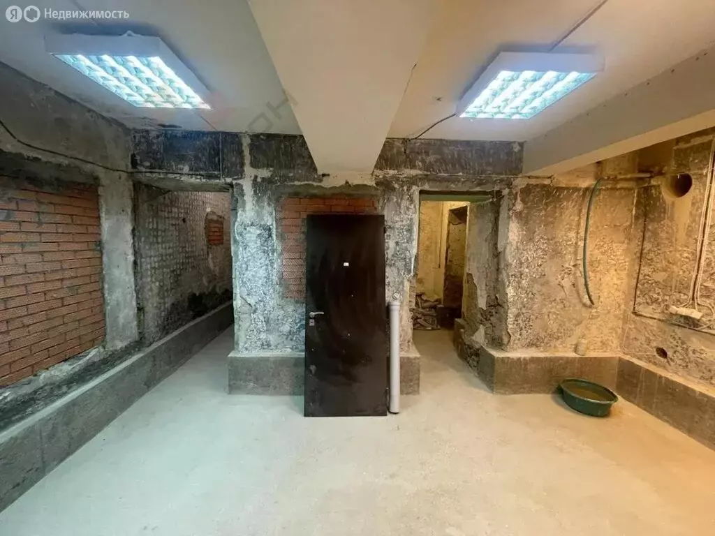 Помещение свободного назначения (59.8 м) - Фото 2