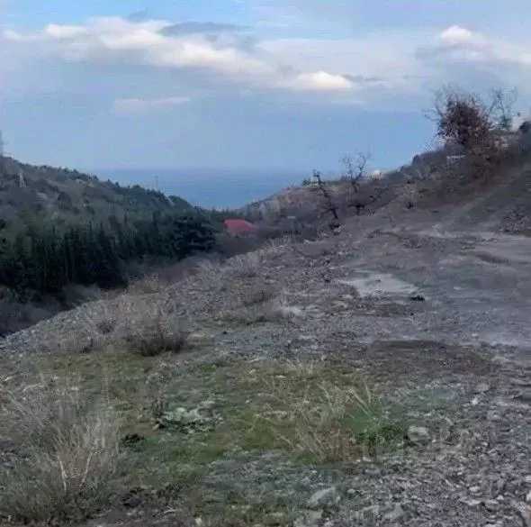Участок в Крым, Алушта муниципальный округ, пос. Семидворье ул. ... - Фото 1