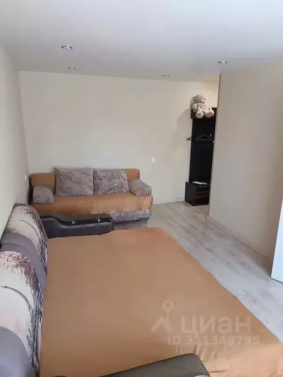 1-к кв. Псковская область, Великие Луки ул. Пушкина, 3 (30.0 м) - Фото 1