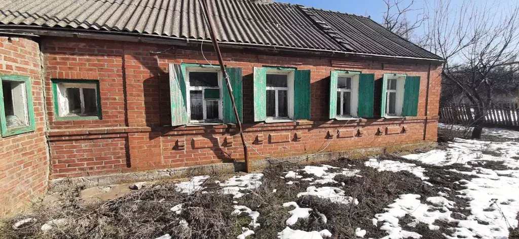 Дом в Ростовская область, Неклиновский район, Андреево-Мелентьевское ... - Фото 1