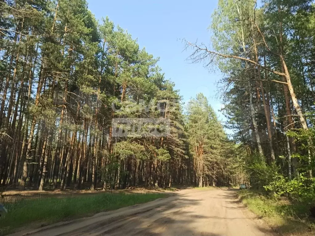 Участок 21 сот. (личное подсобное хозяйство (лпх)) - Фото 0