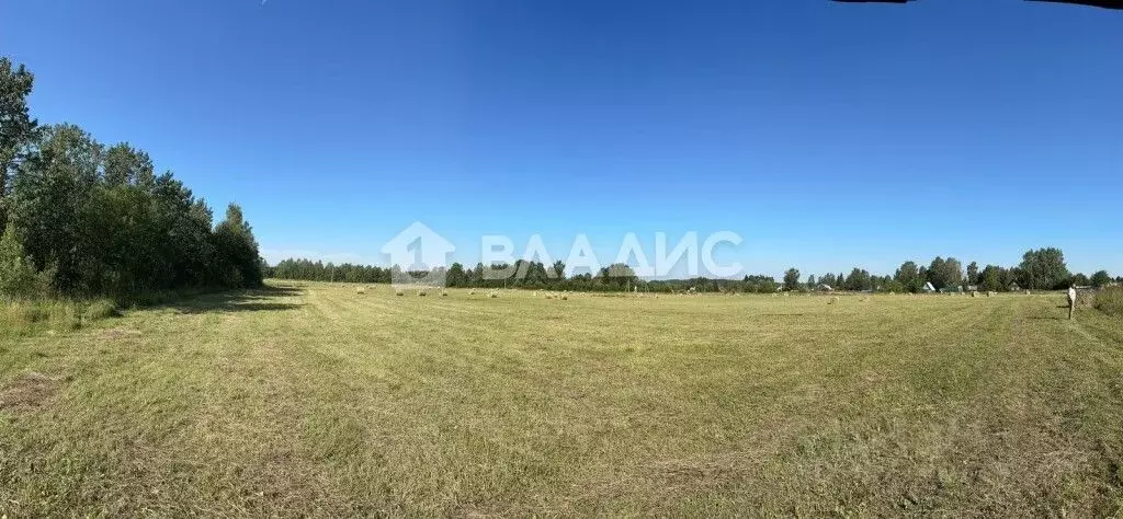 Участок в Вологодская область, д. Стризнево (Сосновский сельсовет)  ... - Фото 0