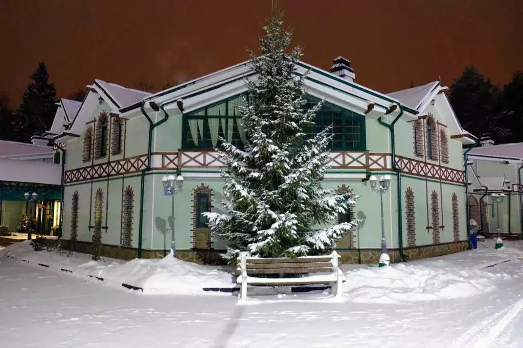 Дом в Московская область, Богородский городской округ, с. ... - Фото 2