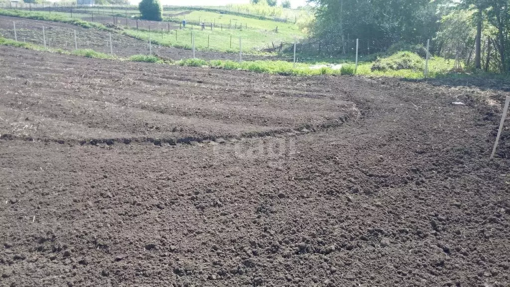 Участок в Башкортостан, Чишминский район, Аровский сельсовет, с. ... - Фото 1