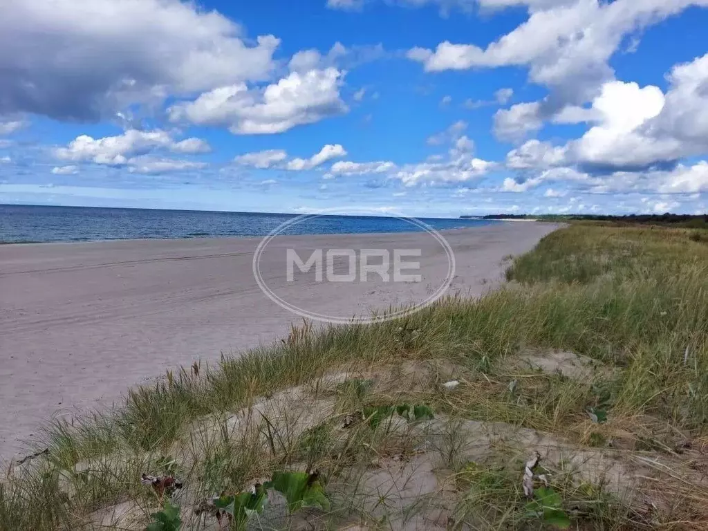 Участок в Калининградская область, Зеленоградский муниципальный округ, ... - Фото 2