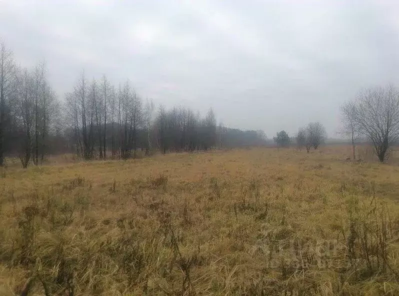 Участок в Московская область, Серпухов городской округ, д. Семеновское ... - Фото 1