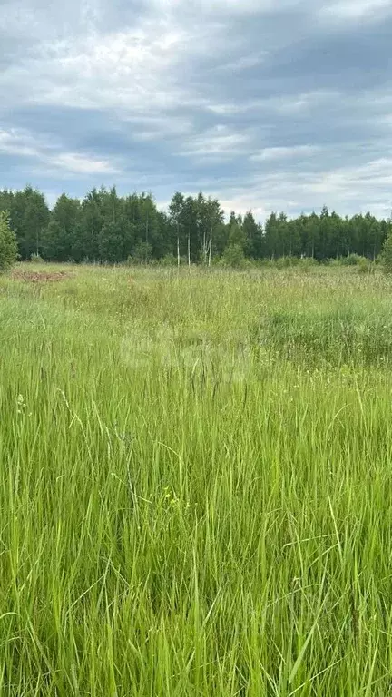 Участок в Костромская область, Нерехта ул. Кутузова, 28 (7.94 сот.) - Фото 0