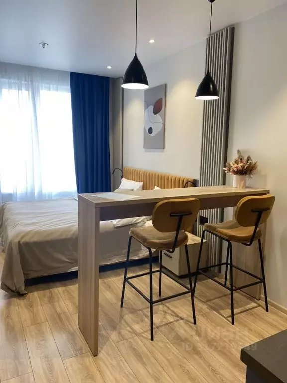 Студия Санкт-Петербург просп. Энергетиков, 8к2 (26.0 м) - Фото 0