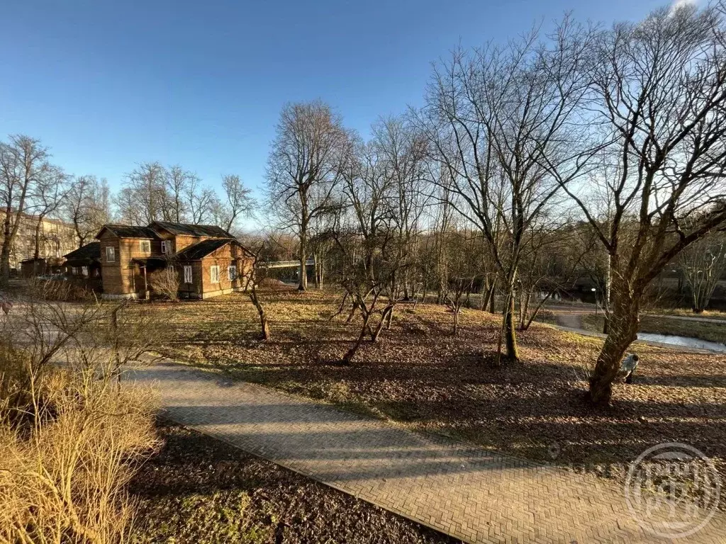 1-к кв. Ленинградская область, Луга ул. Кингисеппа, 4 (31.0 м) - Фото 2