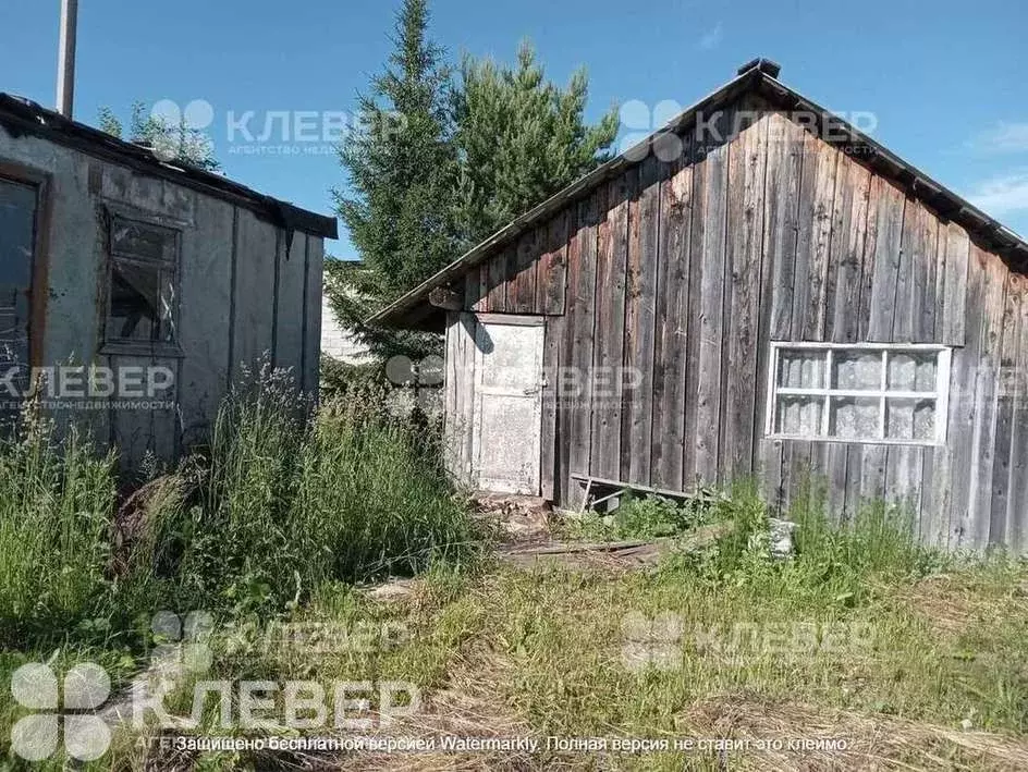 Участок в Пермский край, Чернушинский городской округ, д. Зверево ул. ... - Фото 1