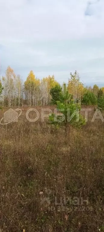Участок в Тюменская область, Нижнетавдинский муниципальный округ, ... - Фото 1