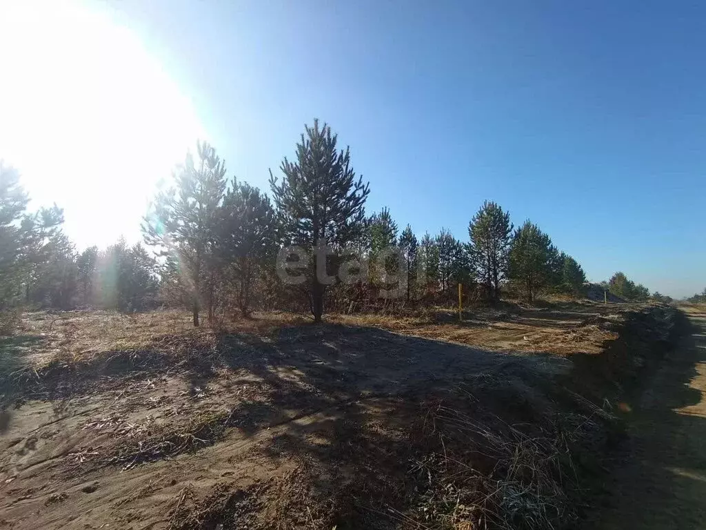 Участок в село Фирсово, микрорайон Рощино, улица Суворова (10 м) - Фото 2